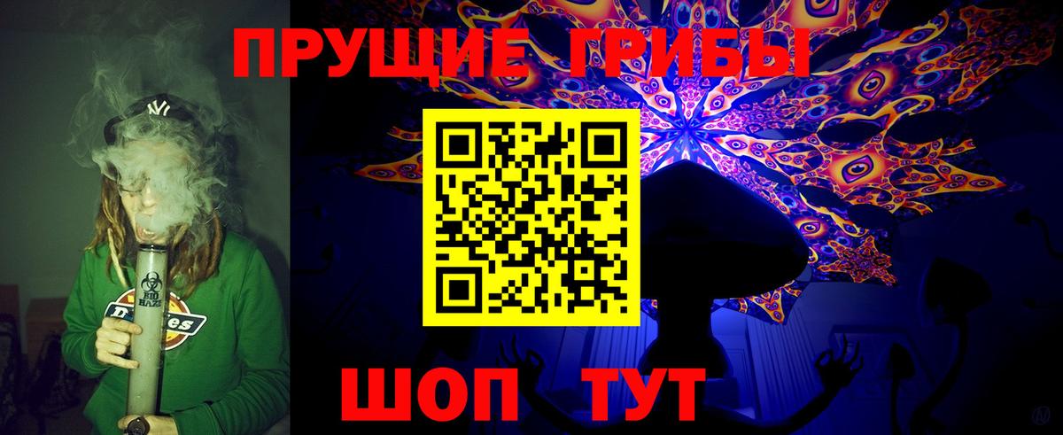 Псилоцибиновые грибы Psilocybine cubensis Канаш